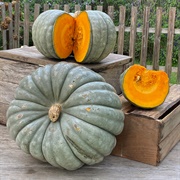 Jarrahdale Pumpkin