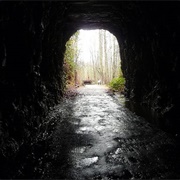 Stumphouse Tunnel