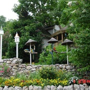 Parrot Mountain and Gardens, TN