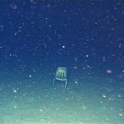 Random Chair in the Dark Waters