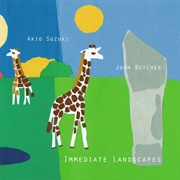Akio Suzuki & John Butcher - Immediate Landscapes