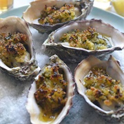 European Flat Oyster (Ostrea Edulis)