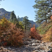 McKittrick Canyon