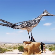 Recycled Roadrunner, New Mexico