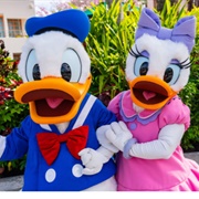 Meet Donald and Daisy