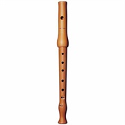 Transverse Flute