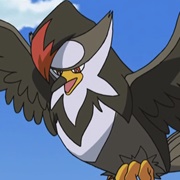 Ash's Staraptor