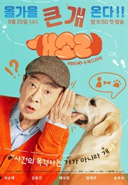 Dog Knows Everything (2024)
