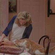 Kitty Kitty (The War of the Roses, 1989)