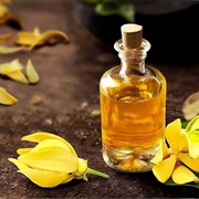 Ylang-Ylang Extract