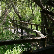 Sea Pines Forest Preserve, South Carolina