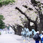 Towada, Aomori, Japan