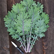 Red Russian Kale