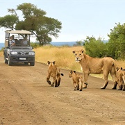Kruger National Park, South Africa
