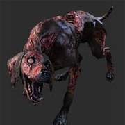 Zombie Dogs