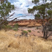 Coalseam Conservation Park