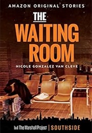 The Waiting Room (Nicole Gonzalez Van Cleve)