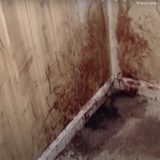 Homicide for the Holidays: "The Last Thanksgiving" (S4,E1)