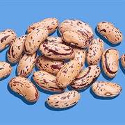 Pinto Beans