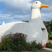 Big Duck