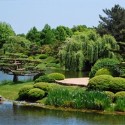 Chicago Botanic Garden, Glencoe, IL