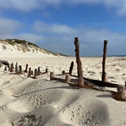 Alex T. Brown Shipwreck