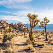 Joshua Tree National Park, USA