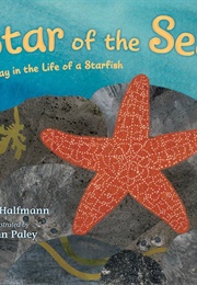 Star of the Sea: A Day in the Life of a Starfish (Janet Halfmann)