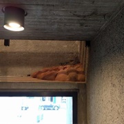 'Dwellings' at the Breuer Building