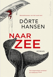 Naar Zee (Dörte Hansen)