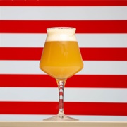 IPA's (India Pale Ales)