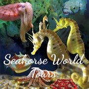Seahorse World, Beauty Point, Tasmania, Australia