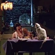 No Name Cat (Betty Blue, 1986)