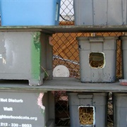 Commercial Street Cat Village