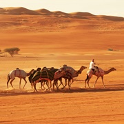 Sharqiya Sands, Oman