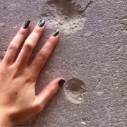 Wall Street Bombing Scars