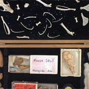 The Departure (Permanently Closed)