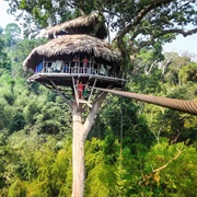 The Gibbon Experience, Laos