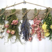 Dried Flowers and Herbs