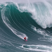 Go Surfing in Portugal