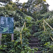 Knoxville Incline Overlook Park & Greenway