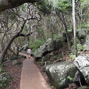 Burleigh Head National Park