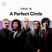 A Perfect Circle