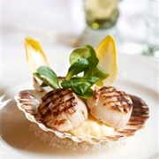 Mediterranean Scallop (Pecten Jacobaeus)