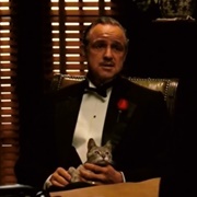 Don Vito Corleone's Cat (The Godfather, 1972)
