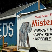 Mr. Ed's Elephant Museum