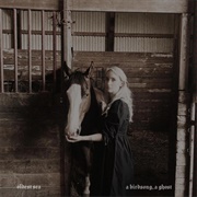 Oldest Sea - A Birdsong, a Ghost