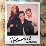 Polaroid - Acoustic - Liam Payne