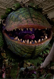 Little House Halloween Horrors (2025)