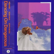 Dancing on Dangerous - Imanbek & Sean Paul Featuring Sofia Reyes